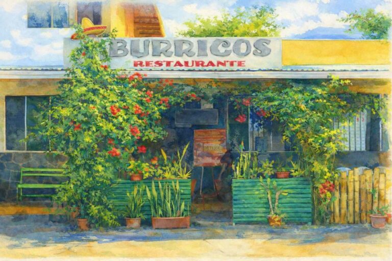Burricos Mexican Grill